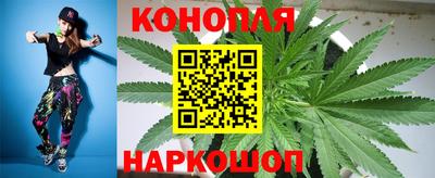 тгк Шахты