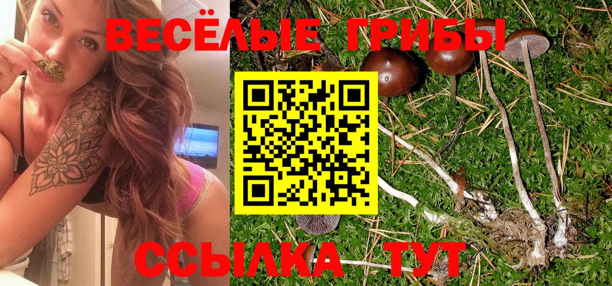 Галлюциногенные грибы мухоморы  Вход с VPN  Новоалександровск 
