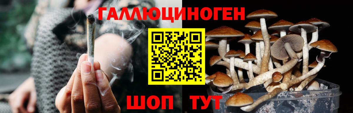 Псилоцибиновые грибы Magic Shrooms Новоалександровск